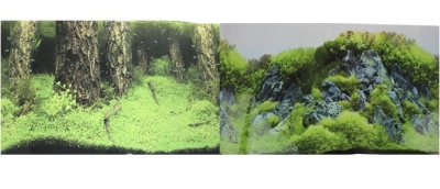 Фон для аквариума двухсторонний Затопленный лес/Камни с растениями 30х60см (9086/9087)